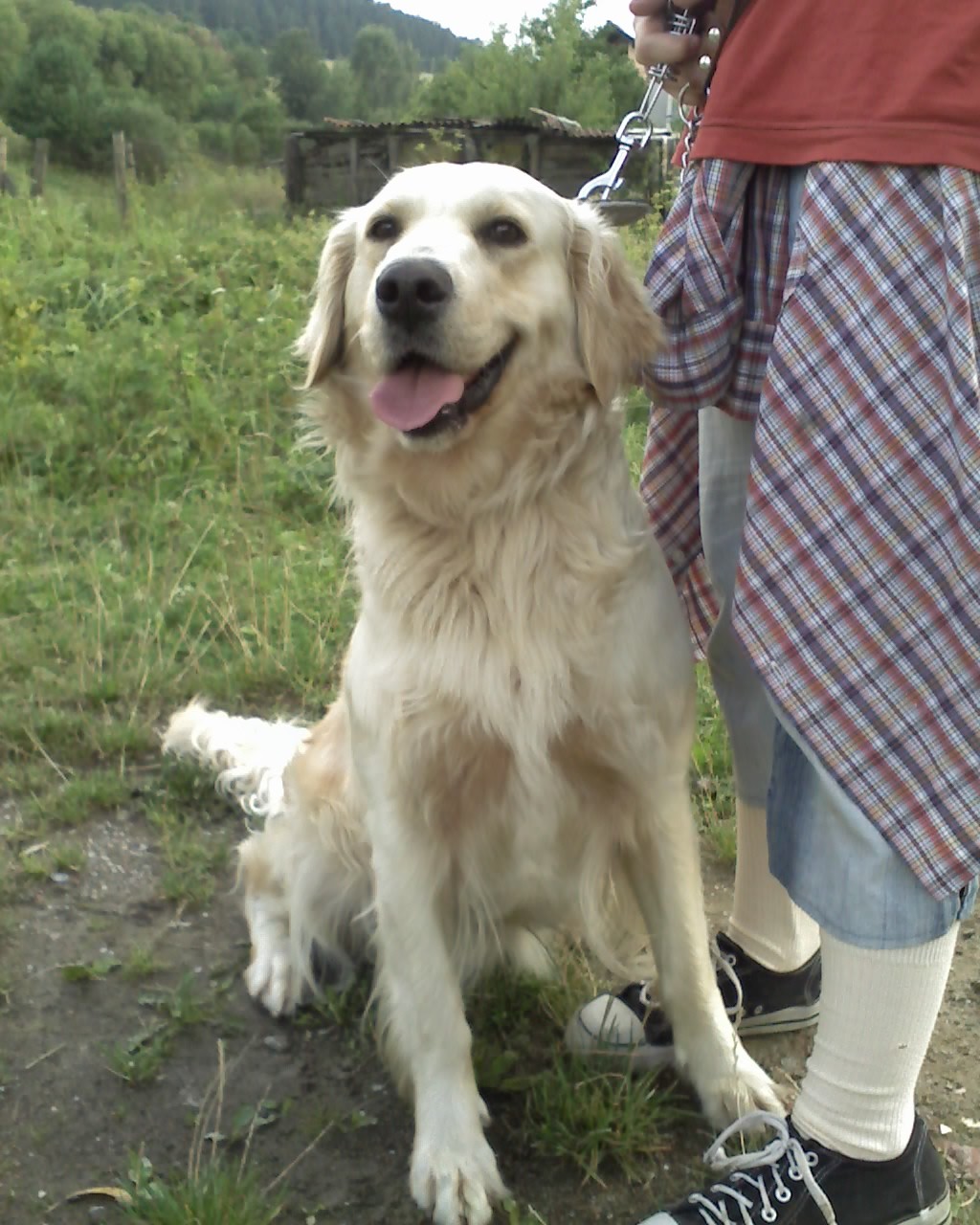 1. Zlatka
