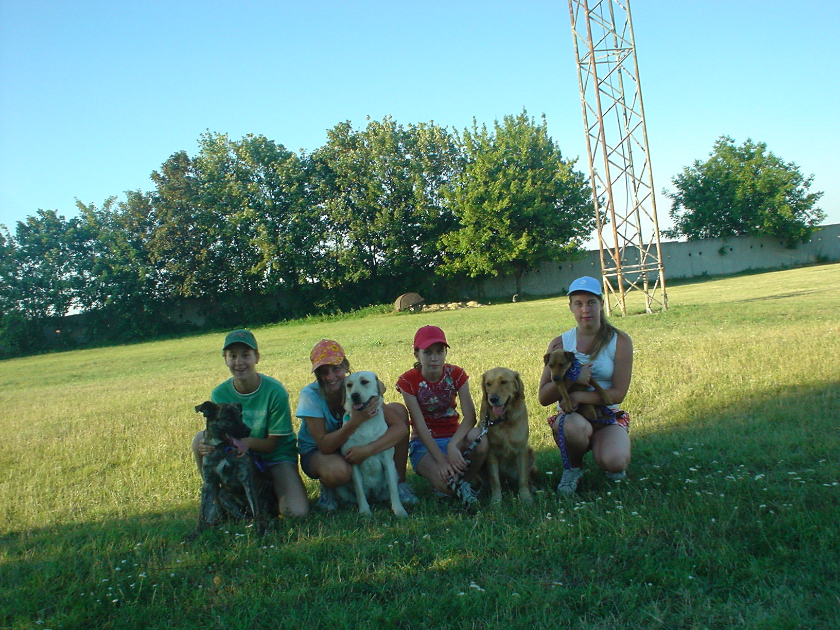 zľava Arkos, Nala, Jackie, Fleur