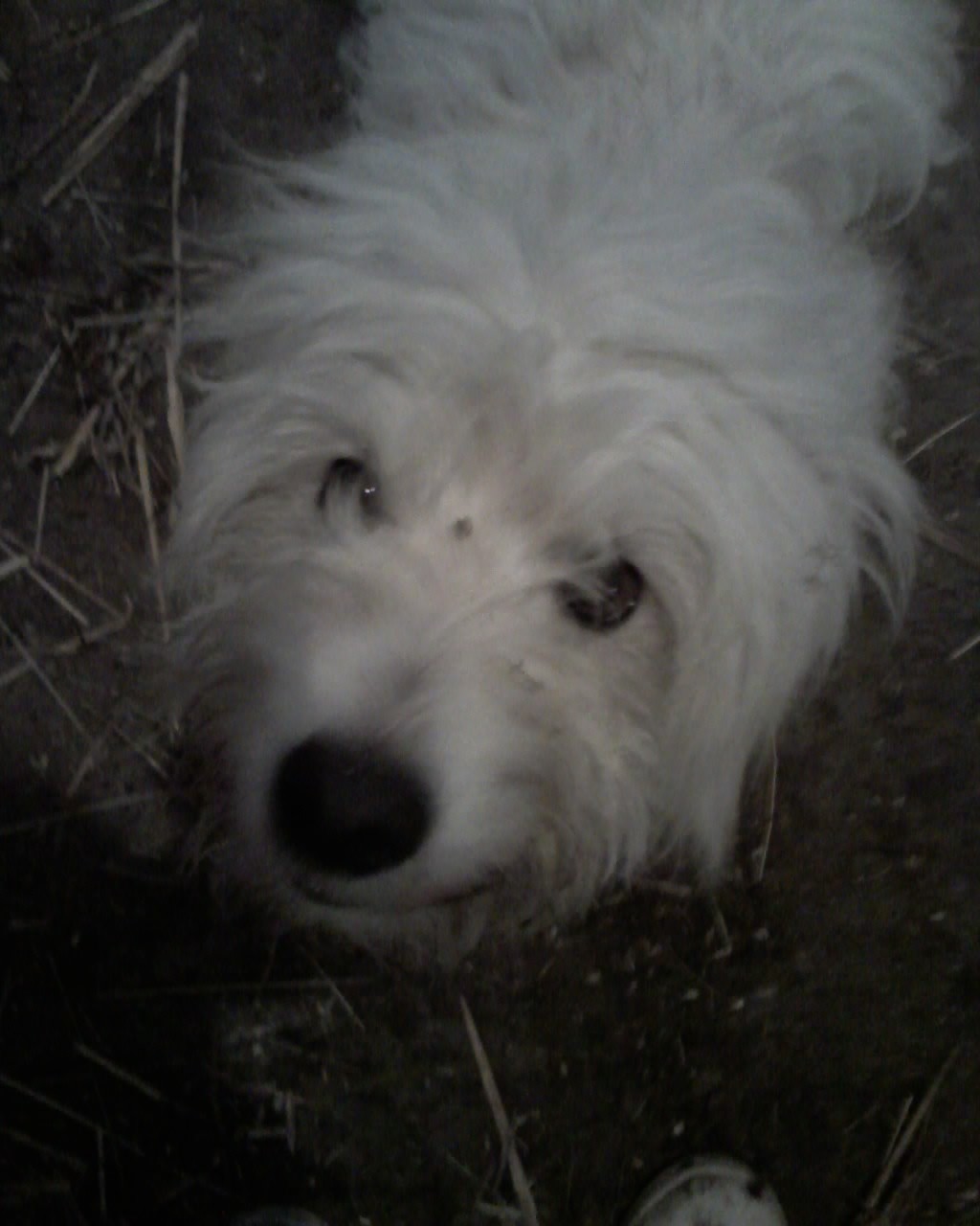 Beny
