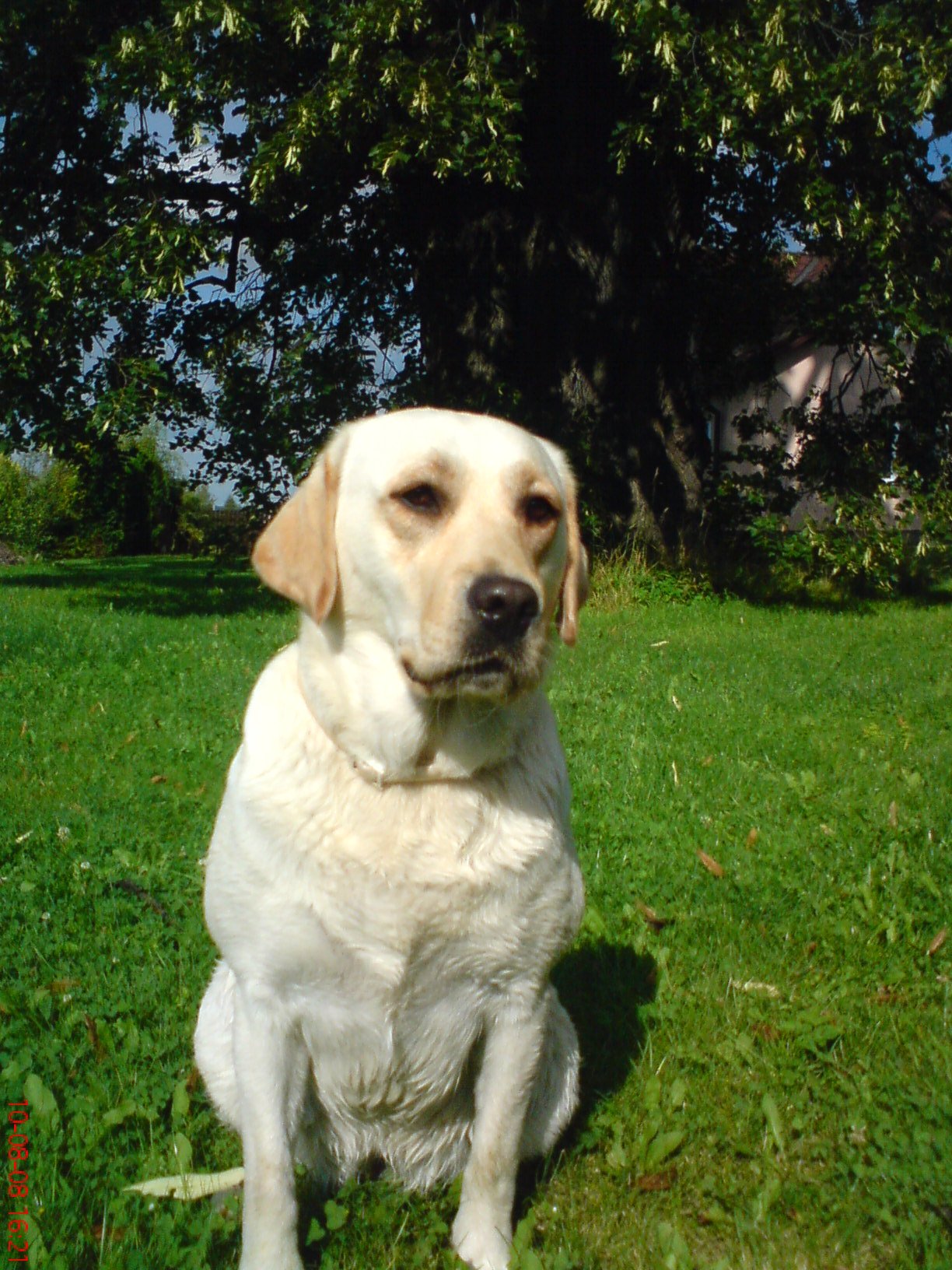 DSC00881.JPG