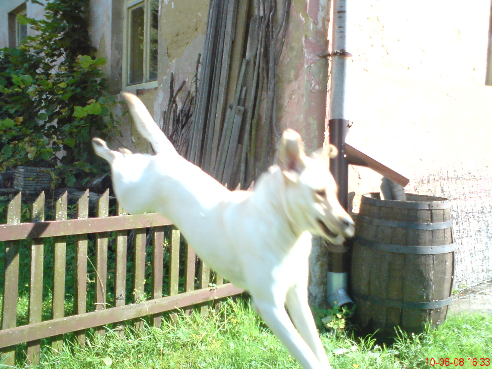 DSC00897.JPG