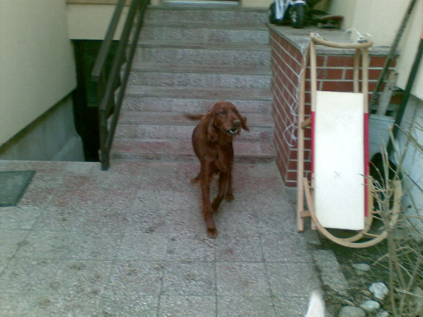 Seterka