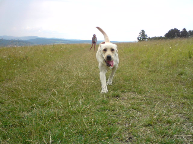 DSC00255.JPG